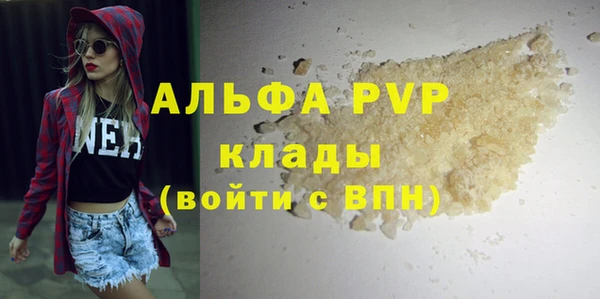 дмт Бородино
