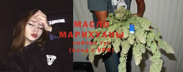 дмт Бородино