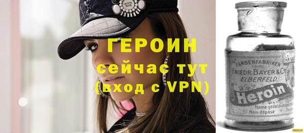 дмт Бородино
