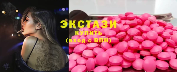 дмт Бородино