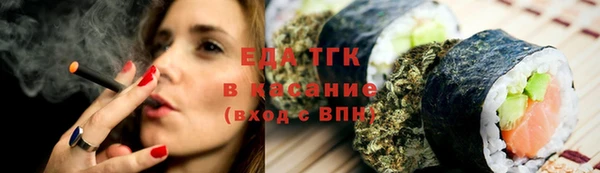 дмт Бородино