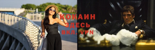 стаф Рославль