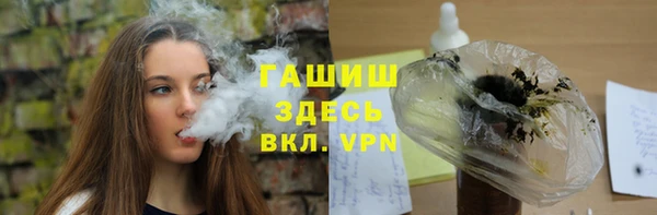 дмт Бородино