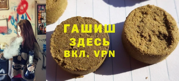 дмт Бородино