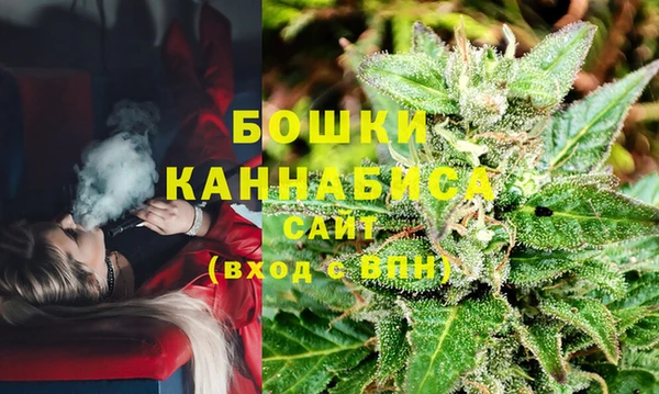 дмт Бородино