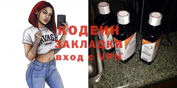 дмт Бородино