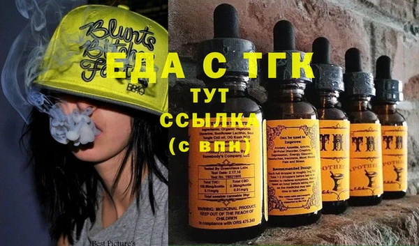 дмт Бородино