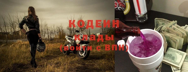 дмт Бородино