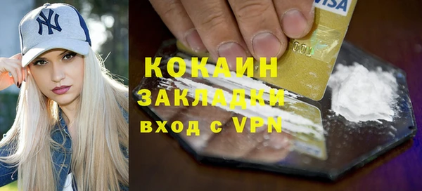 дмт Бородино