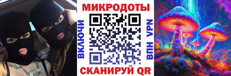 Галлюциногенные грибы ЛСД  как найти закладки  Гусь-Хрустальный 